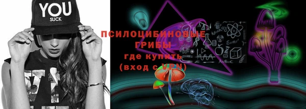 PSILOCYBIN Володарск