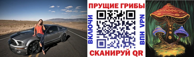 Галлюциногенные грибы мицелий  мориарти официальный сайт  Муром  где продают  
