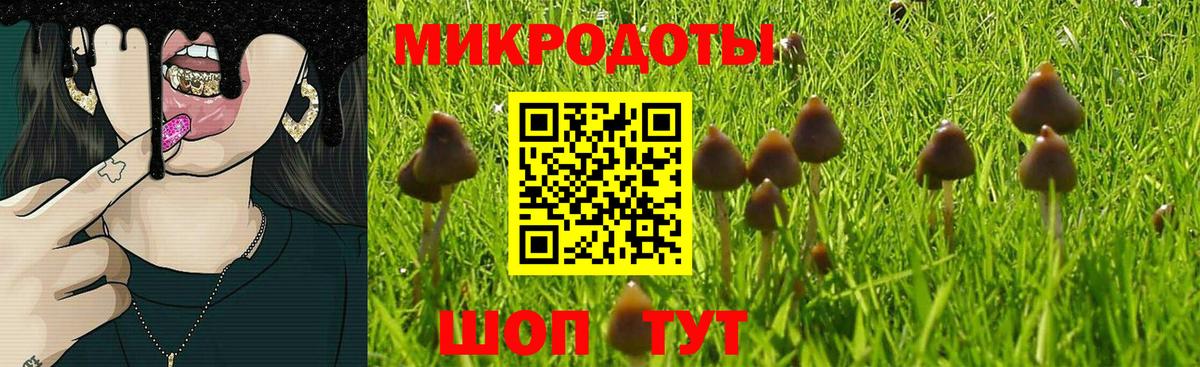 Псилоцибиновые грибы MAGIC MUSHROOMS Муром